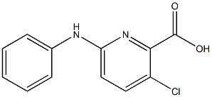 3-chloro-6-(phenylamino)pyridine-2-carboxylic acid Struktur