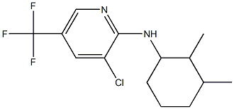 3-chloro-N-(2,3-dimethylcyclohexyl)-5-(trifluoromethyl)pyridin-2-amine Struktur