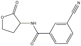 3-cyano-N-(2-oxooxolan-3-yl)benzamide Struktur