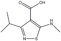 3-isopropyl-5-(methylamino)isothiazole-4-carboxylic acid Struktur