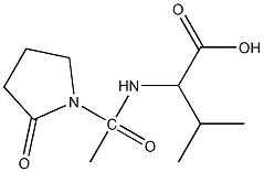 3-methyl-2-[1-(2-oxopyrrolidin-1-yl)acetamido]butanoic acid Struktur