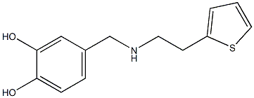 4-({[2-(thiophen-2-yl)ethyl]amino}methyl)benzene-1,2-diol Struktur