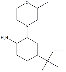 4-(1,1-Dimethyl-propyl)-2-(2-methyl-morpholin-4-yl)-cyclohexylamine Struktur