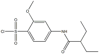 4-(2-ethylbutanamido)-2-methoxybenzene-1-sulfonyl chloride Struktur