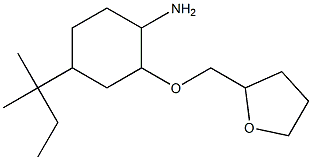 4-(2-methylbutan-2-yl)-2-(oxolan-2-ylmethoxy)cyclohexan-1-amine Struktur