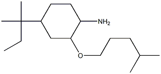 4-(2-methylbutan-2-yl)-2-[(4-methylpentyl)oxy]cyclohexan-1-amine Struktur