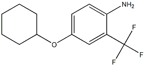 4-(cyclohexyloxy)-2-(trifluoromethyl)aniline Struktur