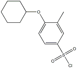 4-(cyclohexyloxy)-3-methylbenzene-1-sulfonyl chloride Struktur