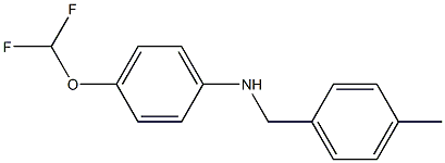 4-(difluoromethoxy)-N-[(4-methylphenyl)methyl]aniline Struktur