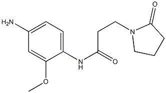 N-(4-amino-2-methoxyphenyl)-3-(2-oxopyrrolidin-1-yl)propanamide Struktur