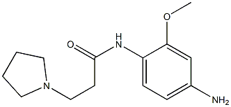 N-(4-amino-2-methoxyphenyl)-3-pyrrolidin-1-ylpropanamide Struktur