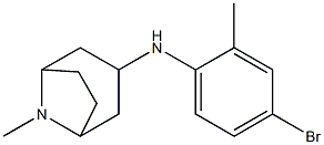 N-(4-bromo-2-methylphenyl)-8-methyl-8-azabicyclo[3.2.1]octan-3-amine Struktur