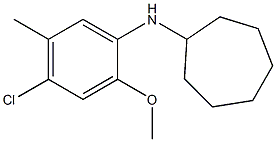 N-(4-chloro-2-methoxy-5-methylphenyl)cycloheptanamine Struktur