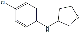 N-(4-chlorophenyl)thiolan-3-amine Struktur