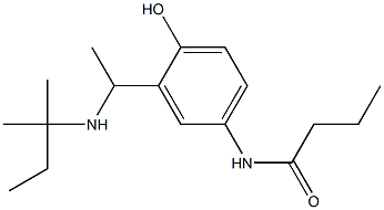 N-(4-hydroxy-3-{1-[(2-methylbutan-2-yl)amino]ethyl}phenyl)butanamide Struktur