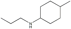 N-(4-methylcyclohexyl)-N-propylamine Struktur