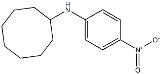 N-(4-nitrophenyl)cyclooctanamine Struktur