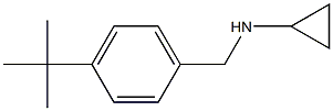 N-(4-tert-butylbenzyl)-N-cyclopropylamine Struktur