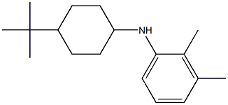 N-(4-tert-butylcyclohexyl)-2,3-dimethylaniline Struktur