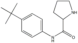 N-(4-tert-butylphenyl)pyrrolidine-2-carboxamide Struktur