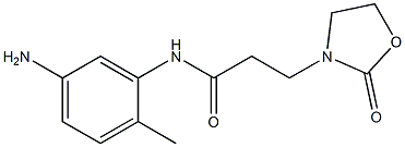 N-(5-amino-2-methylphenyl)-3-(2-oxo-1,3-oxazolidin-3-yl)propanamide Struktur