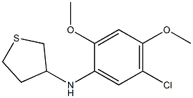 N-(5-chloro-2,4-dimethoxyphenyl)thiolan-3-amine Struktur