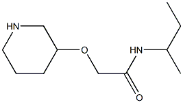 N-(butan-2-yl)-2-(piperidin-3-yloxy)acetamide Struktur