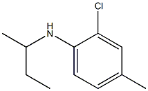 N-(butan-2-yl)-2-chloro-4-methylaniline Struktur