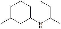 N-(butan-2-yl)-3-methylcyclohexan-1-amine Struktur