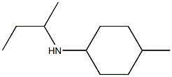 N-(butan-2-yl)-4-methylcyclohexan-1-amine Struktur