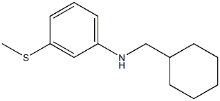 N-(cyclohexylmethyl)-3-(methylsulfanyl)aniline Struktur