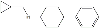 N-(cyclopropylmethyl)-4-phenylcyclohexan-1-amine Struktur