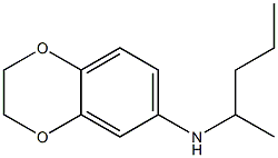 N-(pentan-2-yl)-2,3-dihydro-1,4-benzodioxin-6-amine Struktur