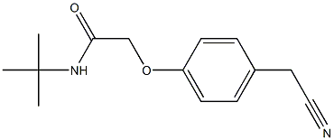 N-(tert-butyl)-2-[4-(cyanomethyl)phenoxy]acetamide Struktur