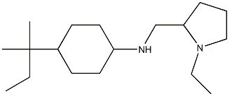 N-[(1-ethylpyrrolidin-2-yl)methyl]-4-(2-methylbutan-2-yl)cyclohexan-1-amine Struktur