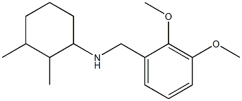 N-[(2,3-dimethoxyphenyl)methyl]-2,3-dimethylcyclohexan-1-amine Struktur