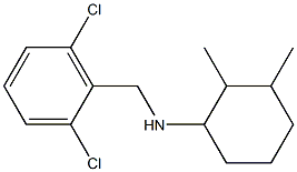 N-[(2,6-dichlorophenyl)methyl]-2,3-dimethylcyclohexan-1-amine Struktur