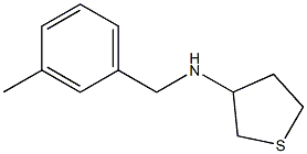 N-[(3-methylphenyl)methyl]thiolan-3-amine Struktur