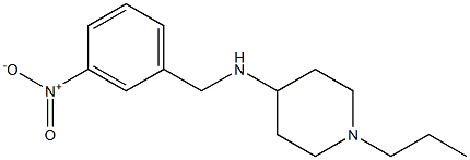 N-[(3-nitrophenyl)methyl]-1-propylpiperidin-4-amine Struktur