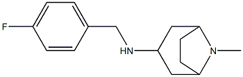 N-[(4-fluorophenyl)methyl]-8-methyl-8-azabicyclo[3.2.1]octan-3-amine Struktur