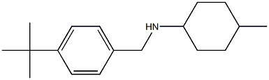 N-[(4-tert-butylphenyl)methyl]-4-methylcyclohexan-1-amine Struktur