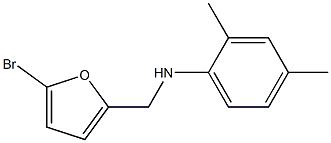 N-[(5-bromofuran-2-yl)methyl]-2,4-dimethylaniline Struktur