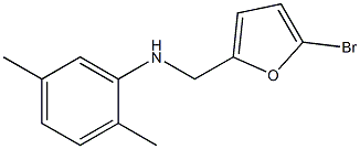 N-[(5-bromofuran-2-yl)methyl]-2,5-dimethylaniline Struktur