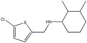 N-[(5-chlorothiophen-2-yl)methyl]-2,3-dimethylcyclohexan-1-amine Struktur