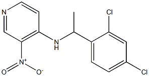 N-[1-(2,4-dichlorophenyl)ethyl]-3-nitropyridin-4-amine Struktur