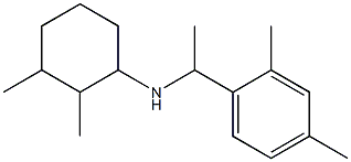 N-[1-(2,4-dimethylphenyl)ethyl]-2,3-dimethylcyclohexan-1-amine Struktur