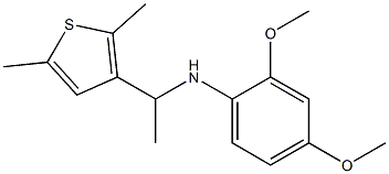 N-[1-(2,5-dimethylthiophen-3-yl)ethyl]-2,4-dimethoxyaniline Struktur