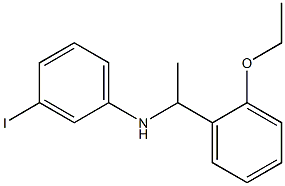 N-[1-(2-ethoxyphenyl)ethyl]-3-iodoaniline Struktur