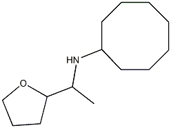 N-[1-(oxolan-2-yl)ethyl]cyclooctanamine Struktur