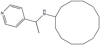 N-[1-(pyridin-4-yl)ethyl]cyclododecanamine Struktur